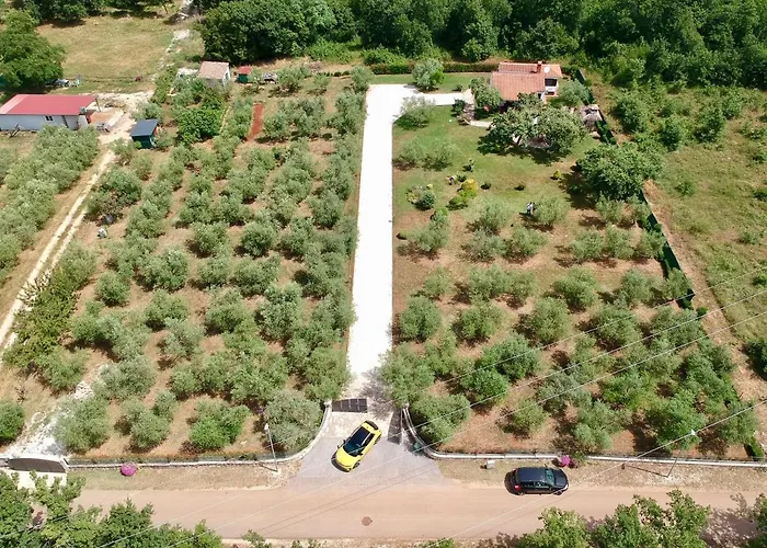 Prázdninový dům Sergo *