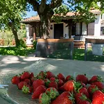 Holiday home Sergo Porec