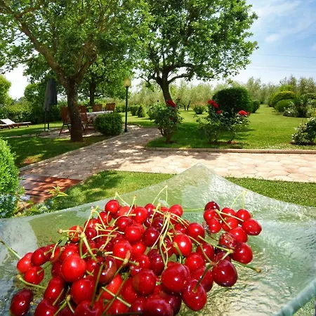 Holiday home Sergo *